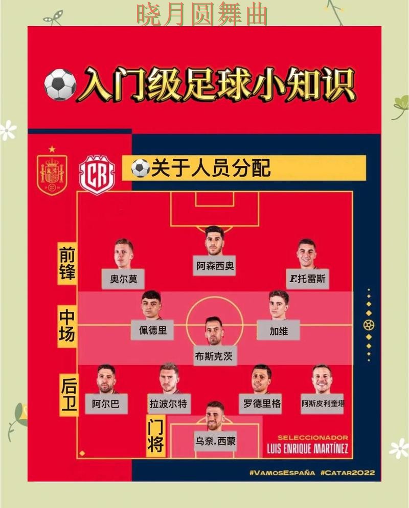 世界杯投注注册哪个好用更适合新手一文看懂